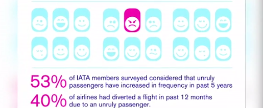 airline satisfaction 3 triaster-1.png