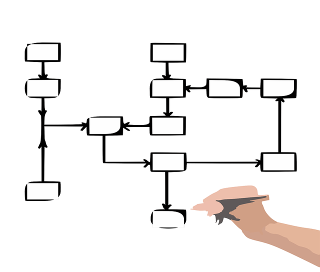 flowchart triaster 1.png